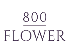 800flower 800flower 800 flowers promo code 800 flowers customer service 800flower.ae discount code 800 flower discount code 800 flower coupon code 800 flowers coupons 800 flowers dubai 1800 flowers promo code free shipping 1800 flowers promo code 2023 1800flowers promo code 2024 1800 flowers promo code reddit 800 flowers tracking proflowers promo code 1800 promo code flower delivery 800 flowers coupon code first order 800 flowers coupon free shipping